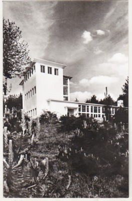bnk cp Petroseni - Laboratorul Institutului de mine - circulata foto