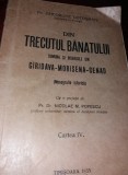 DIN TRECUTUL BANATULUI GHEORGHE COTOSMAN