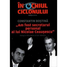 In ochiul ciclonului - Alice Barbu, Sorin Rosca Stanescu foto