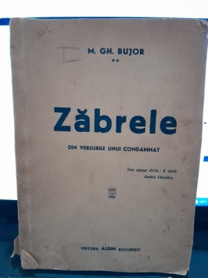 Zabrele, din versurile unui comandant - M,Gh. Bujior foto