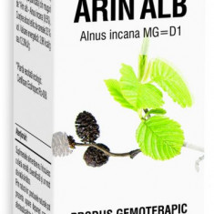 Extract din muguri de Arin Alb, 50ml, PlantExtrakt