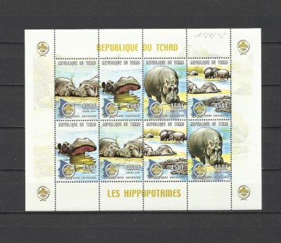 CHAD 2000 FAUNA ANIMALE SALBATICE HIPOPOTAMI foto