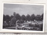 Bnk foto Caransebes - Parcul - 1966, Alb-Negru, Romania de la 1950, Natura