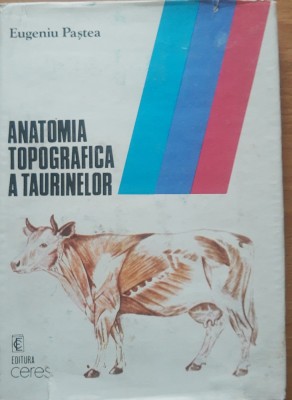 Anatomia topografica a taurinelor - Eugeniu Pastea foto