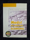 Modul de gandire economic &ndash; Paul Heyne, P. Boettke, D. Prychitko