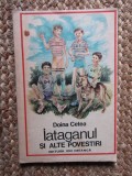 IATAGANUL SI ALTE POVESTIRI-DOINA CETEA