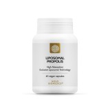 Liposomal Propolis, 45 capsule, Novo Biomedics