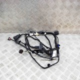 Cablaj ușă dreapta spate TESLA MODEL Y 2021 OEM: 1489054-00-E 20585681