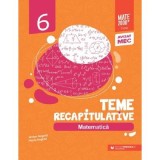 Matematica - Clasa 6 - Teme recapitulative - Maria Negrila, Anton Negrila