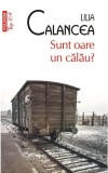 Sunt oare un calau? - Lilia Calancea - Polirom