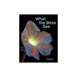 What the Bees See: A Honeybee's Eye View of the World