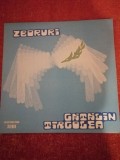 Catalin Tircolea Tarcolea Zboruri Electrecord 1982 vinil vinyl VG+