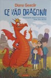 Ce Vad Dragonii - Diana Geacar, Polirom 2019, Carte de Povesti Junior - Coperta Necartonata