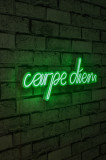 Decoratiune luminoasa LED, Carpe Diem, Benzi flexibile de neon, DC 12 V, Verde, Neon Graph