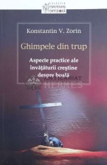 Ghimpele din trup - 2011 - Konstantin V. Zorin ($Y7) foto