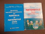 ION GHICA MIHAELA SINGER MATEMATICA MANUAL PENTRU CLASA A V A +REZOLVARILE COMPLETE