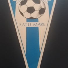 M3 C7 - Tematica cluburi sportive - Asociatia sportiva Somesul Satu Mare