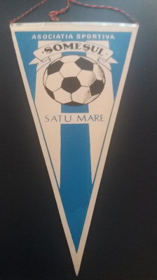 M3 C7 - Tematica cluburi sportive - Asociatia sportiva Somesul Satu Mare foto