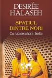 Spatiul dintre nori. Cu rucsacul prin India - Desiree Halaseh - Polirom