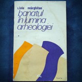 BANATUL IN LUMINA ARHEOLOGIEI - LIVIU MARGHITAN - VOL. I