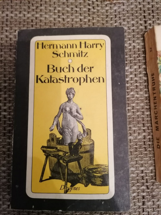 Hermann Harry Schmitz - Buch der Katastrophen