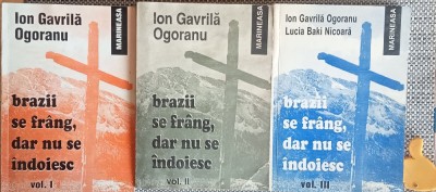 Brazii se frang, dar nu se indoiesc Ion Gavrila Ogoranu vol I+II+III foto