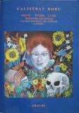 Prins Intre Lumi - Calistrat Robu, Editura PIM, 2021, 481 Pagini, Carte Crestinism