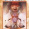 Shamanic Experience: A Practical Guide to Psychic Powers