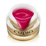Gel Color ultra pigmentat Cupio Raspberry