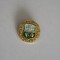 QW9 N3 60 - insigna - orase - capitale - Kiev