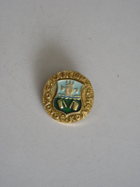 QW9 N3 60 - insigna - orase - capitale - Kiev