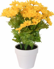 Crizanteme Galbena Artificiale in ghiveci Alb, sunt rezistente la Umiditate, Aspect natural, pentru interior sau exterior, D floare 37 cm, D ghiveci 1 foto