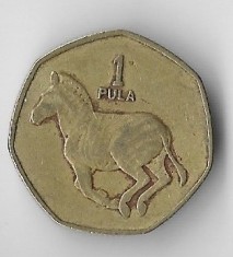 Moneda 1 pula 1991 - Botswana