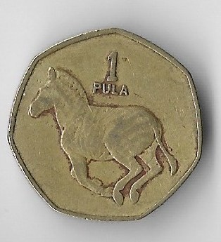 Moneda 1 pula 1991 - Botswana