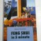 FENG SHUI IN 5 MINUTE - SELENA SUMMERS