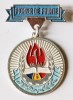 INSIGNA PIONIER DE FRUNTE ALUMINIU VOPSIT VARIANTA MICA DIAMETRU 28 MM PIONIERI PIONERESC IMPECABILA ( CITITI DESCRIEREA ), Romania de la 1950