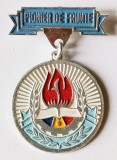 INSIGNA PIONIER DE FRUNTE ALUMINIU VOPSIT VARIANTA MICA DIAMETRU 28 MM IMPECABILA ( CITITI DESCRIEREA )