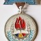 INSIGNA PIONIER DE FRUNTE ALUMINIU VOPSIT VARIANTA MICA DIAMETRU 28 MM PIONIERI PIONERESC IMPECABILA ( CITITI DESCRIEREA )