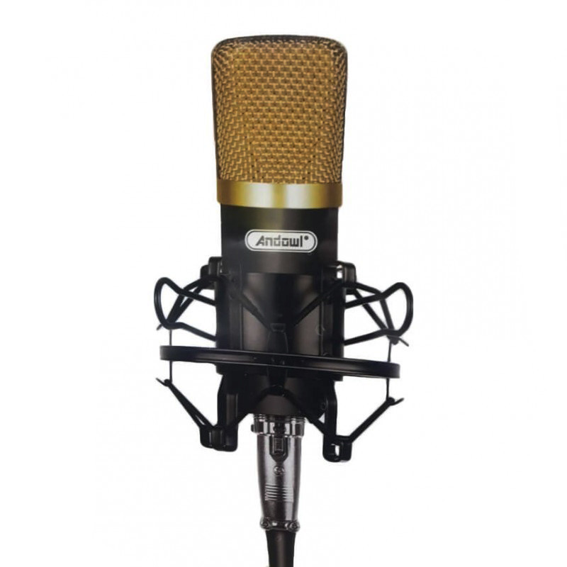 Microfon profesional Q Mic3 pentru inregistrari | Okazii.ro