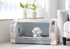 Incubator veterinar Rcom ICU MAX &ndash; recuperare c&acirc;ini, pisici, păsări, rozătoare &ndash; nou, garanție