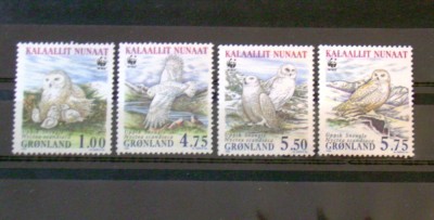 Groenlanda foto