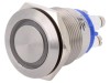 Comutator Anti-Vandalism IP66 24VDC