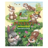 Disney. Iepurasi. Iepurasii la joaca primele mele povesti de noapte buna