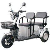 Triciclu Doua Locuri - 1000w / 60v / 20ah / Gri