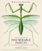 Innumerable Insects: The Story of the Most Diverse and Myriad Animals on Earth