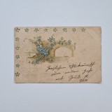 Carte Postala tematica florala, litografie relief, circulata cu timbru Timisoara - Temesvar 1901, Timis / Banat / Romania