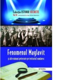 Istorii secrete (vol.20). Fenomenul Maglavit si alte minuni petrecute pe teritoriul romanesc - Dan-Silviu Boerescu