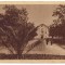 AD 956 C. P. VECHE -VEDERE DIN VASILE ROAITA -RPR -CIRCULATA 1956 -PATATA