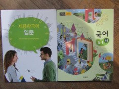 INTRODUCTION TO SEJONG KOREAN + CARTE IN COREANA