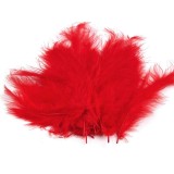 Cumpara ieftin Set 20 pene decorative strut, lungime 9-16 cm, Rosu